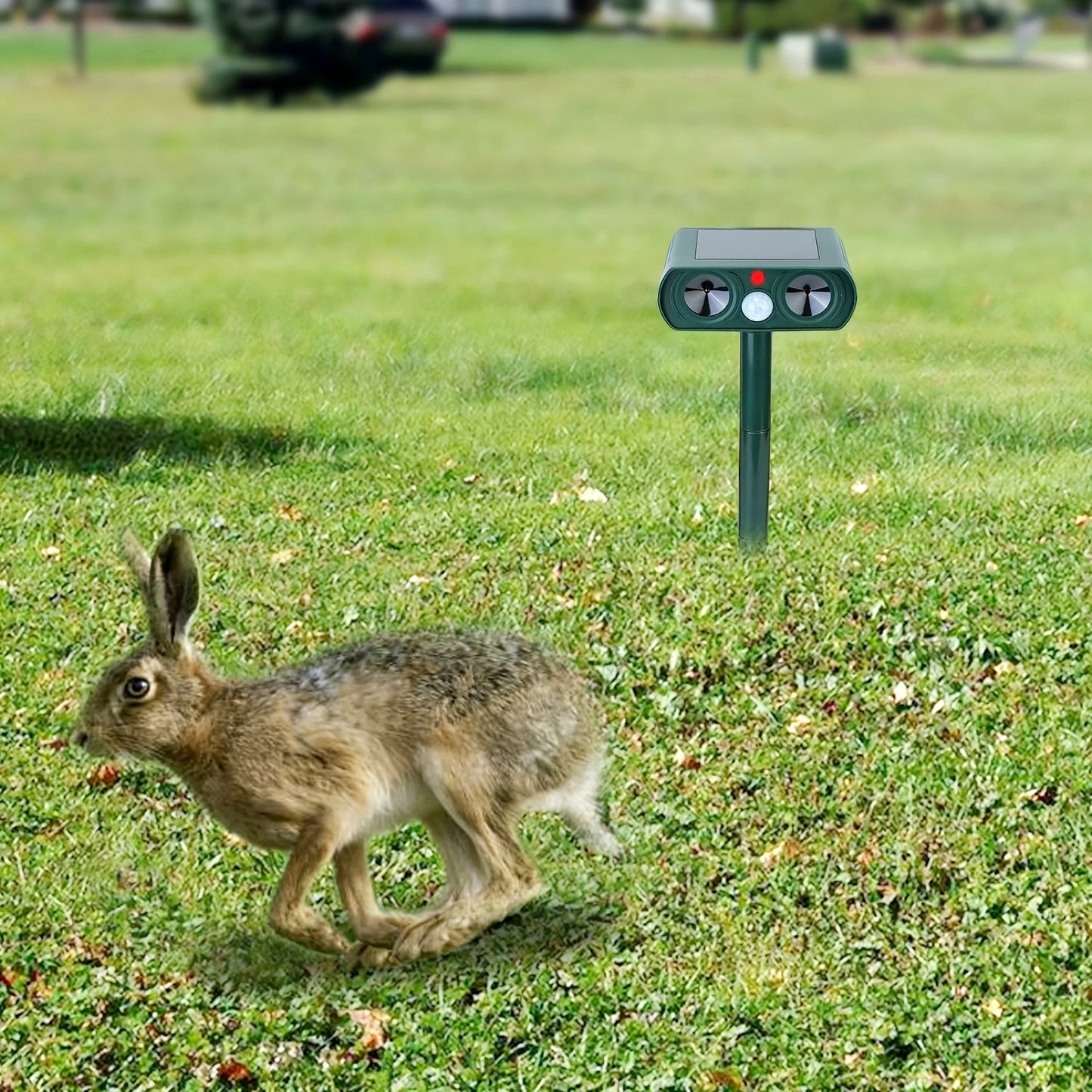 Rabbit running near a solar-powered ultrasonic animal repeller installed in a grassy garden.