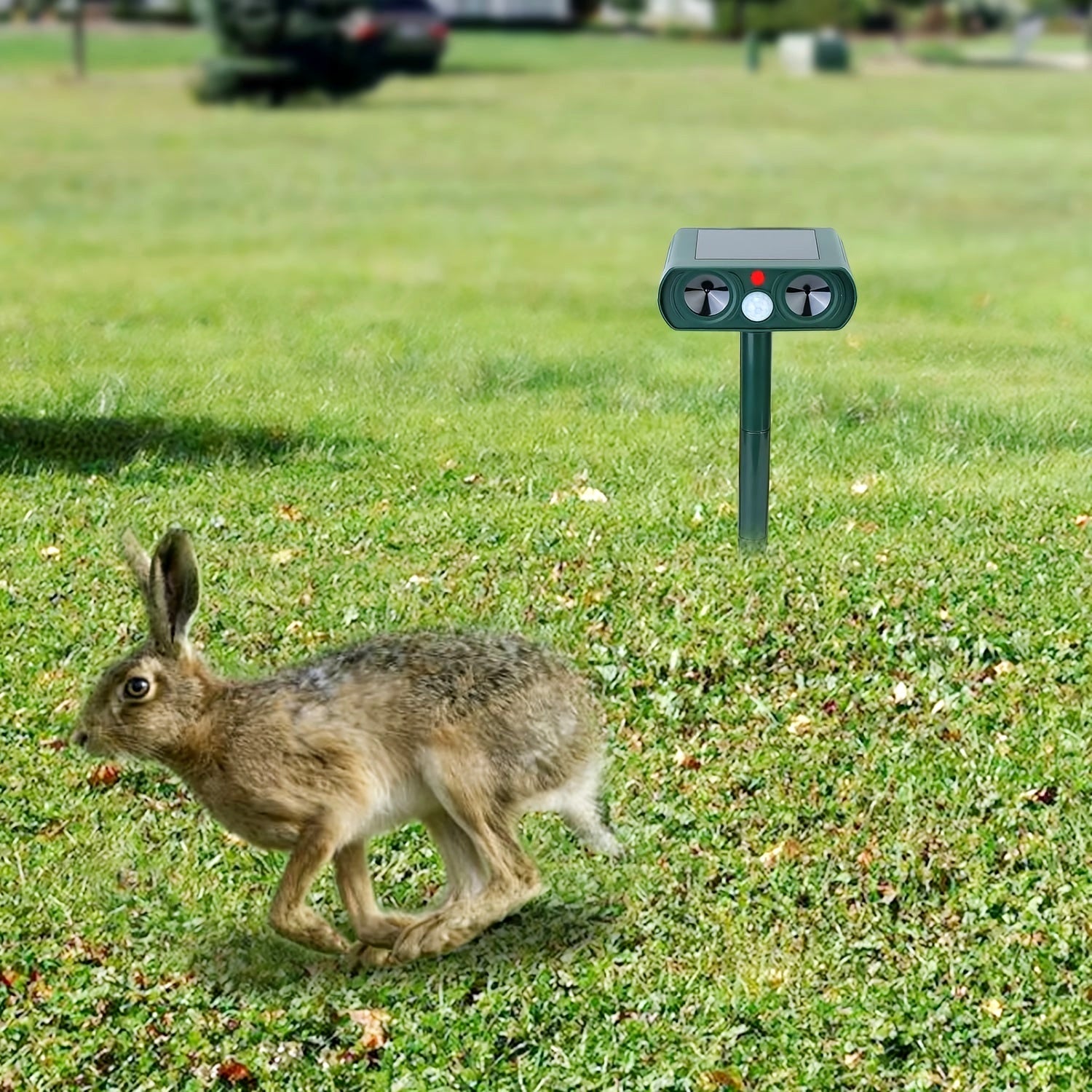 Rabbit running near a solar-powered ultrasonic animal repeller installed in a grassy garden.